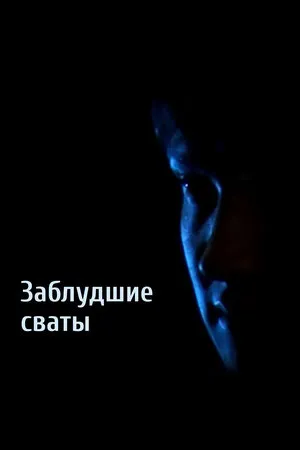 «Adashgan sovchilar (2009)» filmi posteri