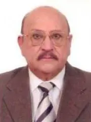 Melis Abzalov